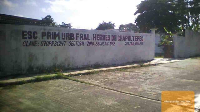 Entrada (vista previa)