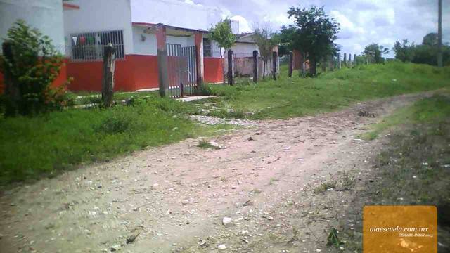 Entrada (vista previa)