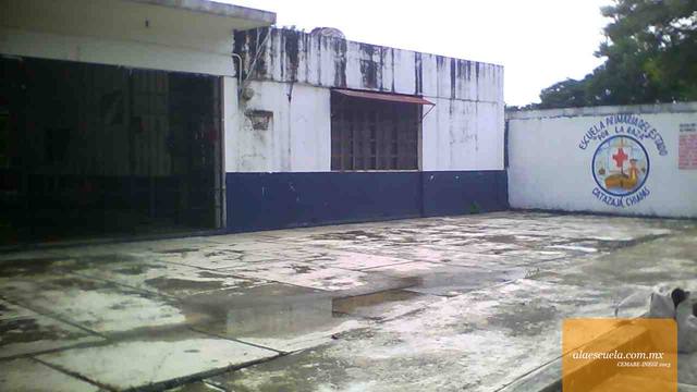 Entrada (vista previa)