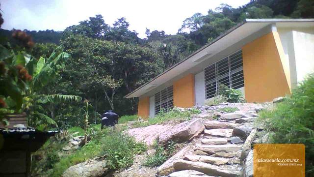 Entrada (vista previa)