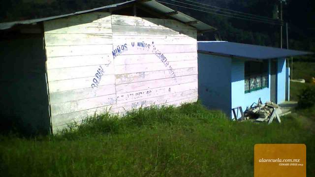 Entrada (vista previa)