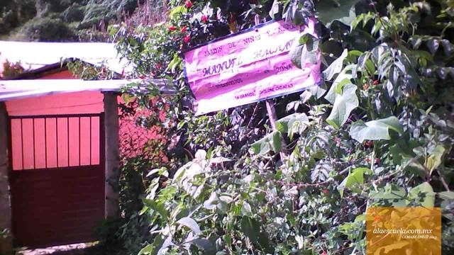 Entrada (vista previa)