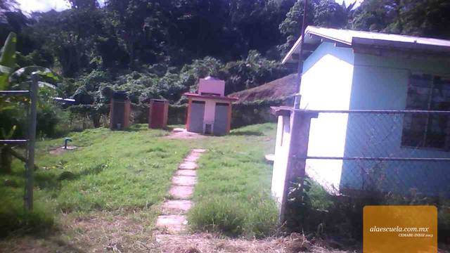 Entrada (vista previa)