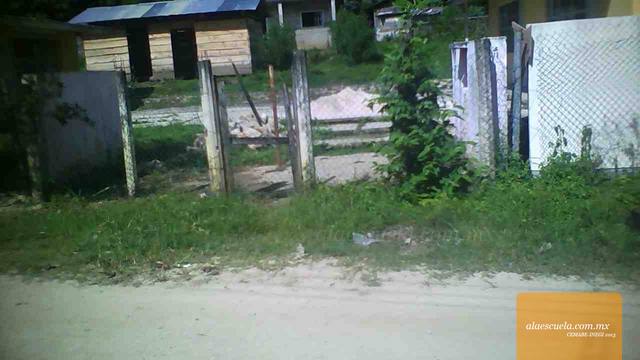 Entrada (vista previa)