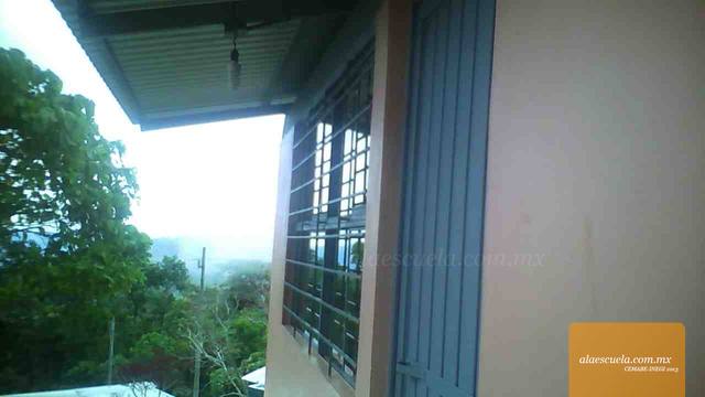 Entrada (vista previa)