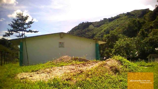 Entrada (vista previa)