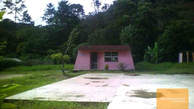 Entrada (vista previa)