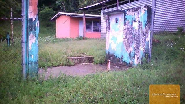 Entrada (vista previa)