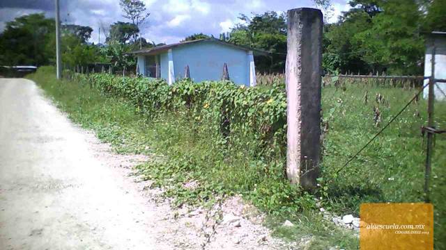 Entrada (vista previa)