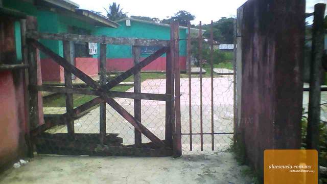 Entrada (vista previa)