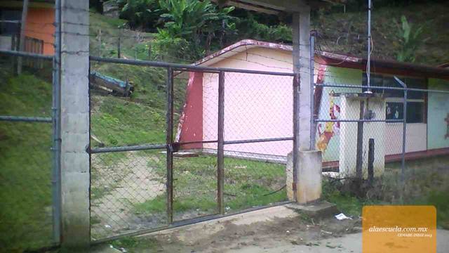 Entrada (vista previa)