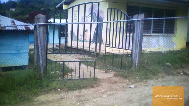 Entrada (vista previa)