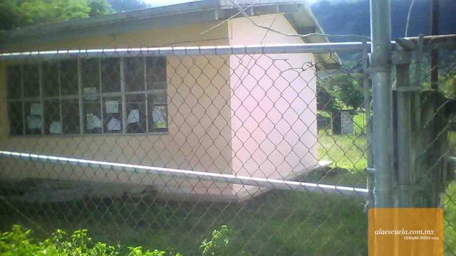 Entrada (vista previa)