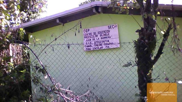 Entrada (vista previa)