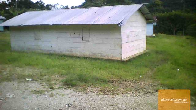 Entrada (vista previa)