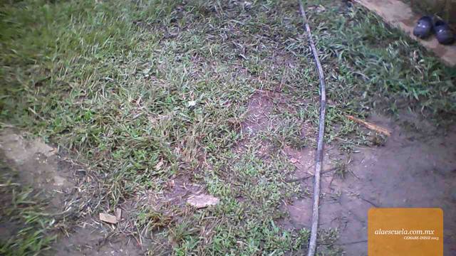 Áreas (vista previa)