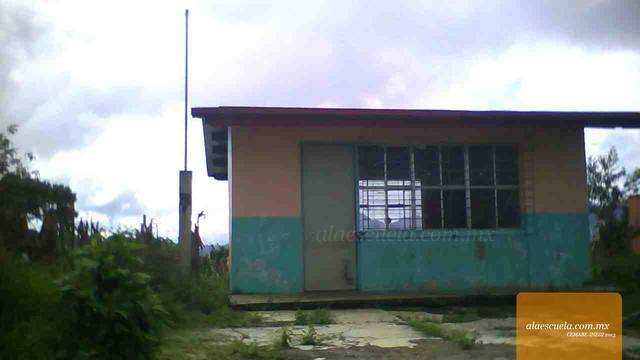 Entrada (vista previa)