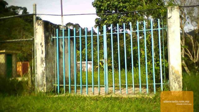 Entrada (vista previa)