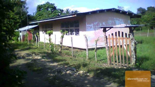 Entrada (vista previa)