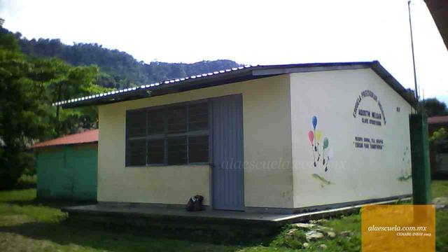 Entrada (vista previa)