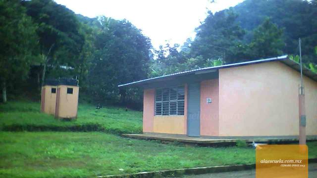 Entrada (vista previa)