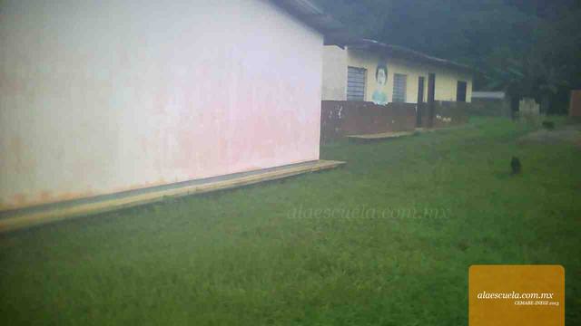 Entrada (vista previa)