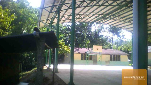 Entrada (vista previa)