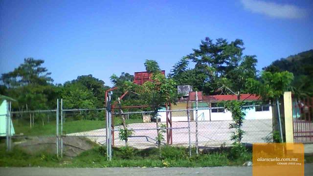 Entrada (vista previa)