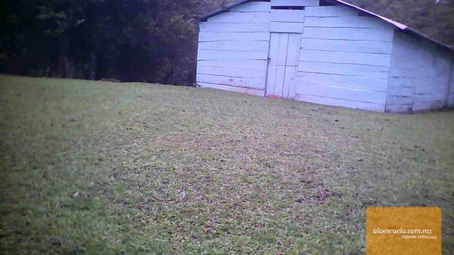 Entrada (vista previa)