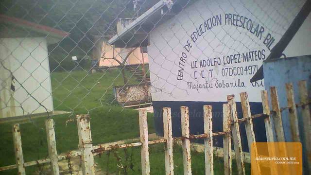 Entrada (vista previa)