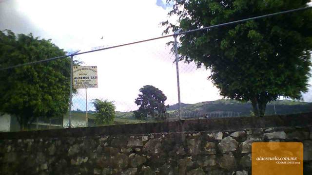 Entrada (vista previa)