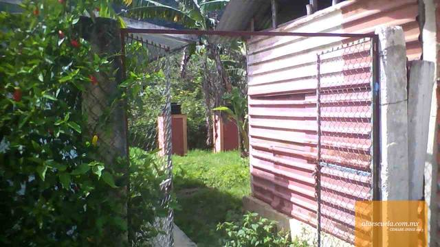 Entrada (vista previa)