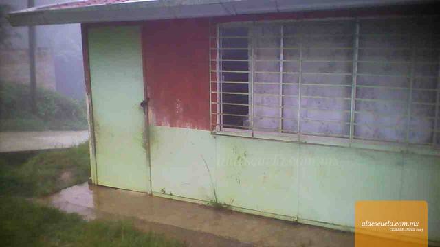 Entrada (vista previa)