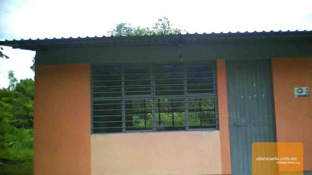 Entrada (vista previa)