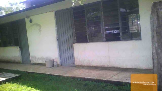 Entrada (vista previa)