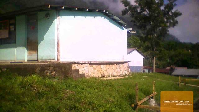 Entrada (vista previa)