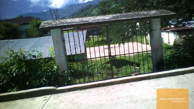 Entrada (vista previa)