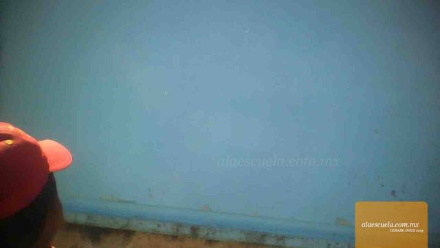 Entrada (vista previa)