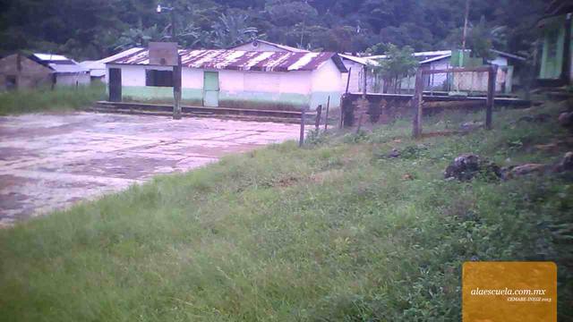 Entrada (vista previa)