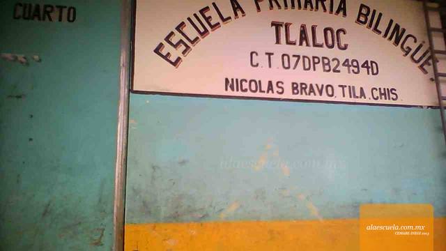 Entrada (vista previa)