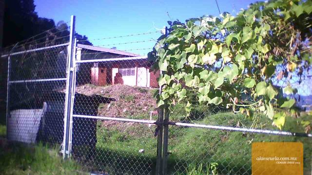 Entrada (vista previa)