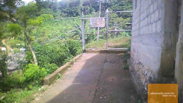 Entrada (vista previa)