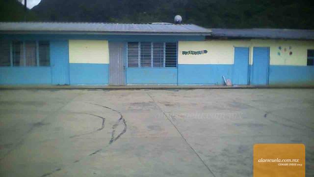 Entrada (vista previa)