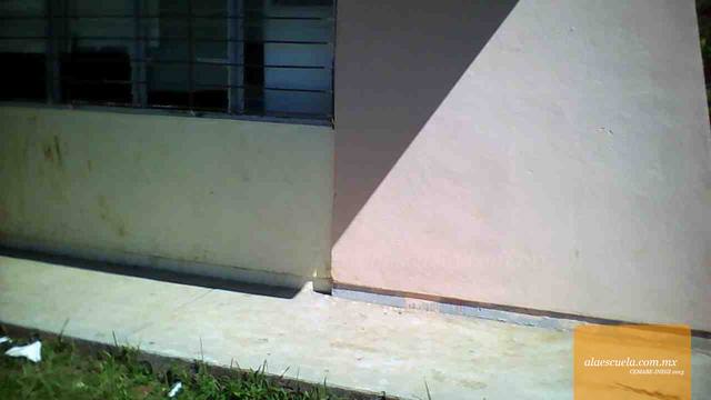 Entrada (vista previa)