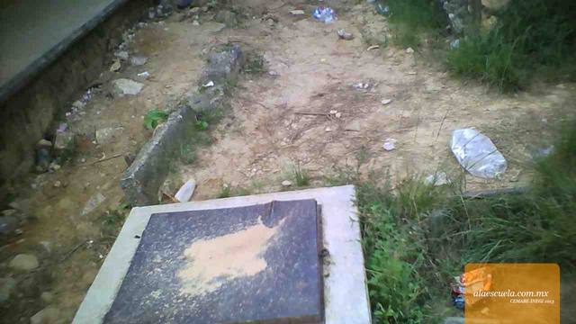 Entrada (vista previa)