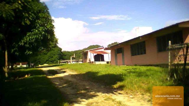 Entrada (vista previa)