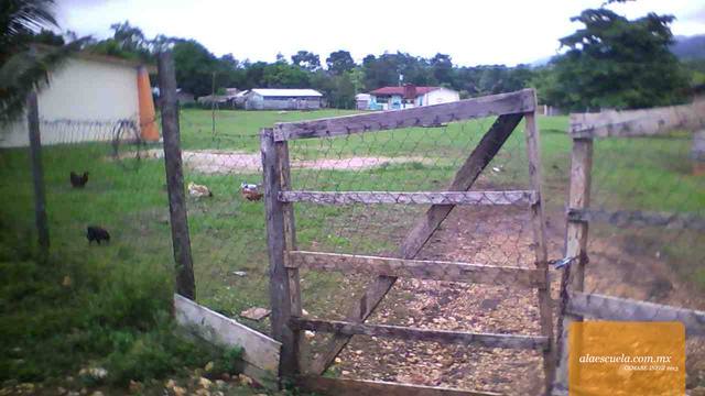 Entrada (vista previa)