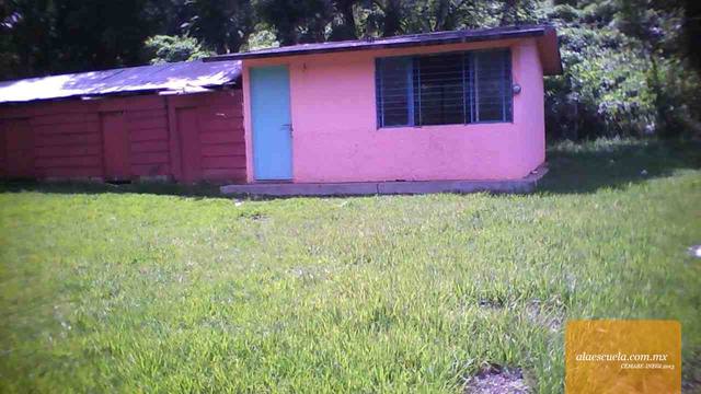 Entrada (vista previa)