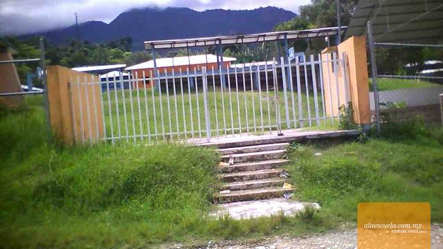 Entrada (vista previa)