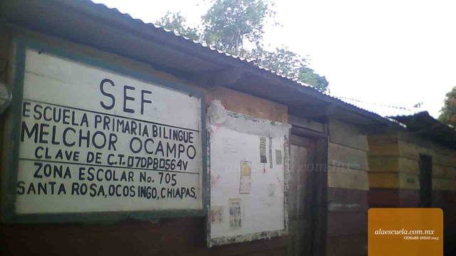 Entrada (vista previa)